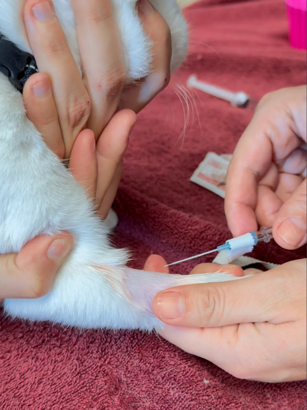 Soins d'urgence