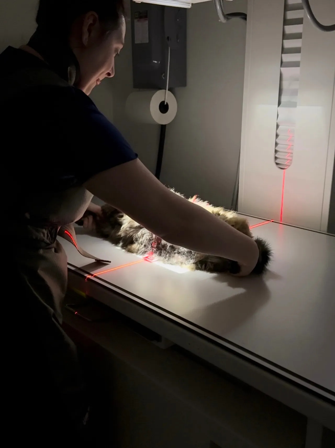 Imagerie & analyses diagnostiques