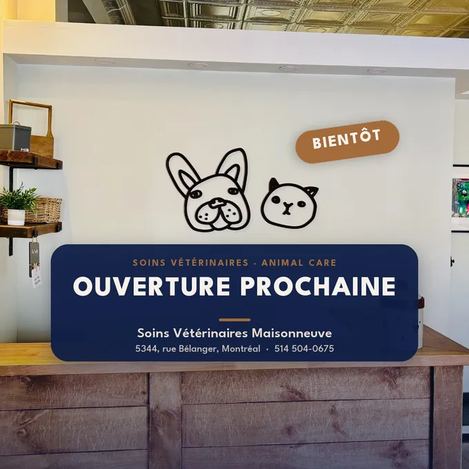 Soins Vétérinaires Maisonneuve — clinique vétérinaire à Rosemont