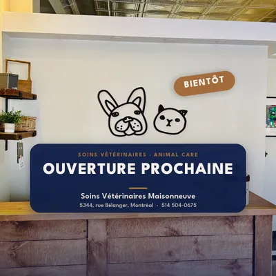 Soins Vétérinaires Maisonneuve