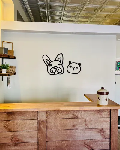 Animal Care Pointe-Claire