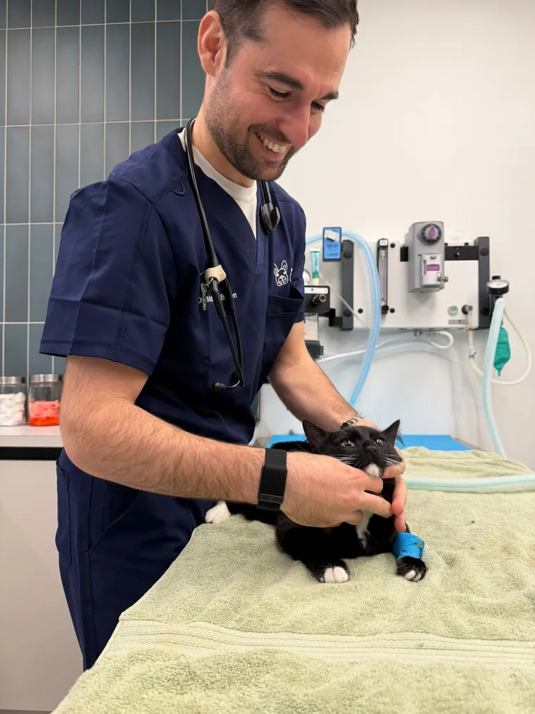 Veterinarian with a pet