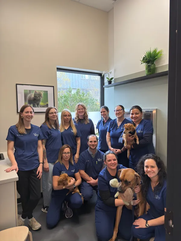 Animal Care Pointe-Claire